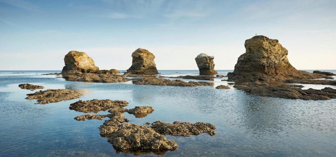 Appart Bord De Mer, 6 Places, Plage, Dune, Parking Gratuit, Rez De Chaussee Saint-Hilaire-de-Riez Dış mekan fotoğraf